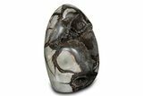 Free-Standing, Polished Septarian Geode - Black Crystals #302873-1